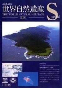 ���E���R��Y