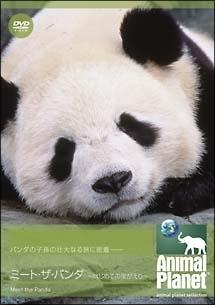 BBC ワイルドライフ・スペシャルII シャチ [DVD] Amazon.co.jp: BBC ワイルドライフ・スペシャルII シャチ [DVD