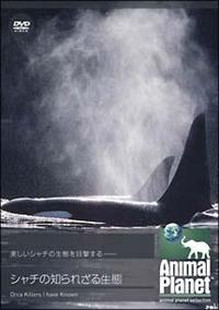 �A�j�}���E�v���l�b�g�@�V���`�̒m��ꂴ�鐶��