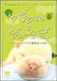 �p������ƃW�F�[���Y�@�`�W�F�[���Y�p�p�̕����L�I�̊��`