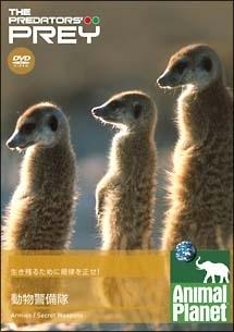 アニマル・プラネット 餌食になるまえに 動物警備隊 | 宅配DVDレンタル