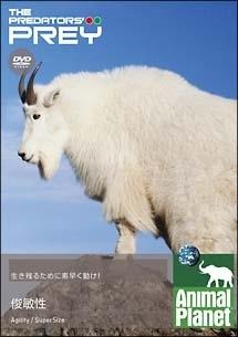 アニマル・プラネット 餌食になるまえに 俊敏性 | 宅配DVDレンタルの