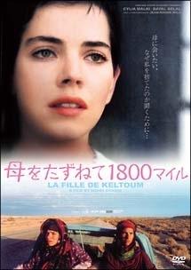 母をたずねて１８００マイルのサムネイル画像