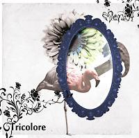 �yMAXI�z�g���R���[��(�}�L�V�V���O��)