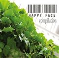 HappyFace Compilation