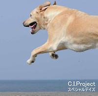 �yMAXI�z�X�y�V�����f�C�Y(�}�L�V�V���O��)