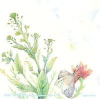 �y���l���y�z�J�̊C