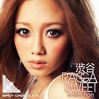 aJ RAGGA SWEET COLLECTION/SPICY CHOCOLATẺ摜EWPbgʐ^