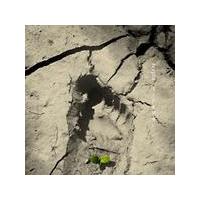 ���[�h�I�t�}��