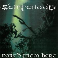 �m�[�X �t���� �q�A�[