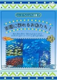 �V���[�Y�E���B�W���A���}�ӂQ�R�@�y���ɌQ��邨������