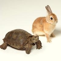 �yMAXI�z�����Ă�����(�}�L�V�V���O��)