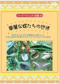 �ؗ�Ȓ������̐��E