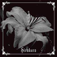 �yMAXI�z���m�N���̉�(�}�L�V�V���O��)