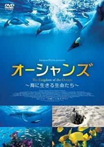 オーシャンズ 販売 dvd