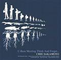 C-Base Meeting (Think And Forget)