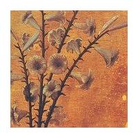 ������S���B�`Romance Of Scarlet�`