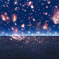 �yMAXI�z�[��(�ʏ��)(�}�L�V�V���O��)