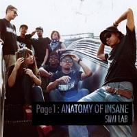 Page 1:ANATOMY OF INSANE