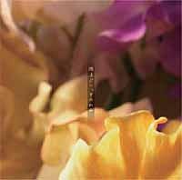 �J�オ��A���݂�F