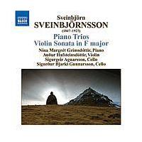 �X���F�C���r�������\��