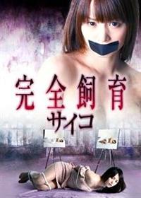 ���S����@�T�C�R