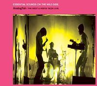 ESSENTIAL SOUNDS ON THE WILD SIDE.-ANALOGFISH:THE BEST&HIBIYA YAON LIVE-