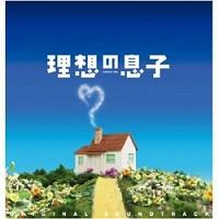 ���z�̑��q