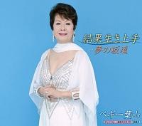 �yMAXI�z���ʐ������(�}�L�V�V���O��)