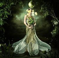 ���w��(�ʏ��)