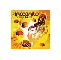 �T���A��