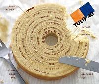 TULIP 40 �`���ׂẴV���O��40�� �f�r���[40���N���L�O���ā`�yDisc.1&Disc.2�z