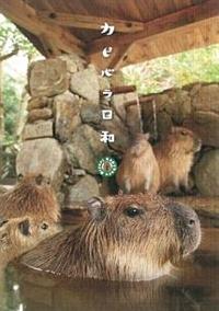 �J�s�o�����a