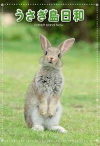 �����������a