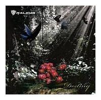 �yMAXI�zDestiny(DVD�t)(�}�L�V�V���O��)