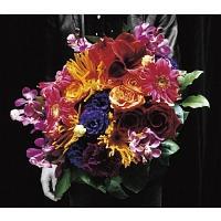 �yMAXI�z����Ȃ�ŏI����(�ʏ��)(�}�L�V�V���O��)