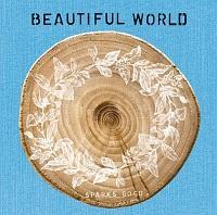 BEAUTIFUL WORLD(ʏ)