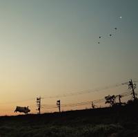 �yMAXI�zHello��my yesterday'$(�}�L�V�V���O��)