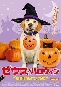 ゼウスのハロウィン～おばけ屋敷で大騒動～のサムネイル画像