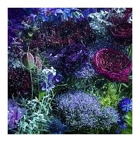 �yMAXI�z���Ȃ��ɏo���Ȃ���΁`�Đ�~�ԁ`(���Ԑ��Y�����)(�}�L�V�V���O��)