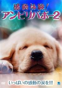 �����̌��I�A���r���[�o�{�[�@�`��񂱂̊�Ղ̑����`