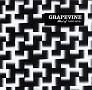 Best of GRAPEVINE 1997-2012(ʏ)