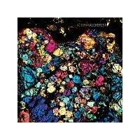 �yMAXI�z�A���P�~�X�g(�}�L�V�V���O��)