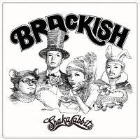 BRACKISH(�ʏ��)