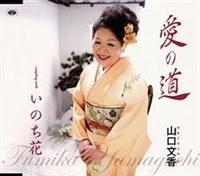 �yMAXI�z���̓�(�}�L�V�V���O��)