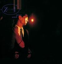 Z���̈����(����)