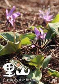 �j�b�|���̗��R�@�`�ӂ邳�Ƃ̐�i�ɏo����`�@�y�k�C���E���k�n���ҁz