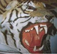 I'm so happy to see you