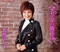 �yMAXI�z�}�[���^�̉�����(�}�L�V�V���O��)