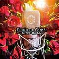 Platinum Voice`͂̂`